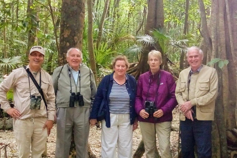 Cancún: Vogelfotografie-Expedition mit Transport