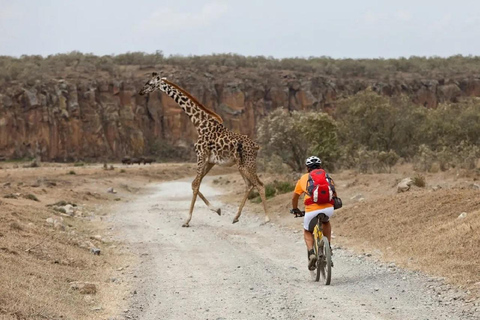 Nairobi: 3-Day Lake Nakuru, Hell’s Gate & Naivasha Safari