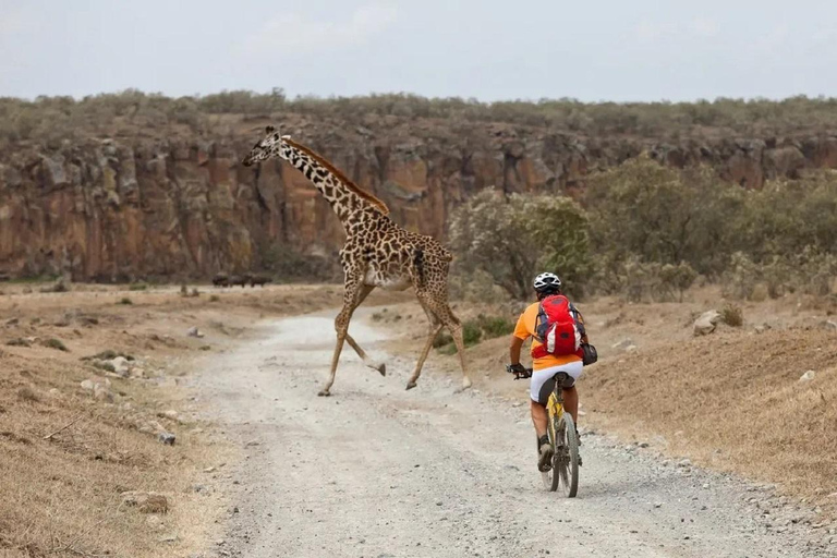 Nairobi: 3-Day Lake Nakuru, Hell’s Gate & Naivasha Safari