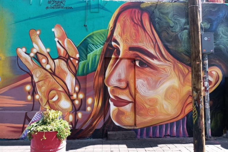Mexico-Stad: Street Art fietstour met snackMexico-Stad: fietstour van 3 uur met kunst en streetfood
