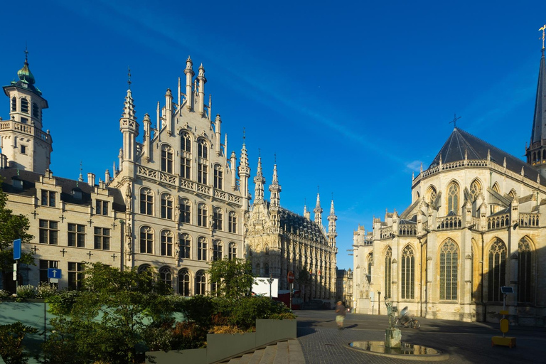 From Brussels: Excursion to Ghent and Leuven English Language Sightseeing Tour
