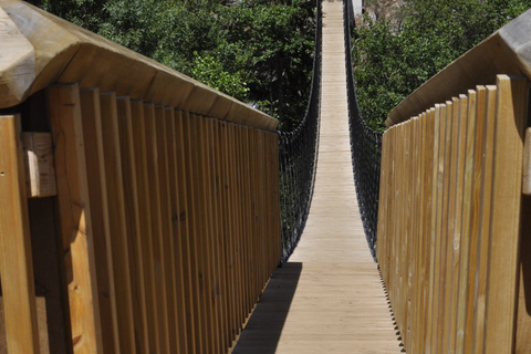 Paseo por la naturaleza de Guarda: Relatos de las Pasarelas del Mondego