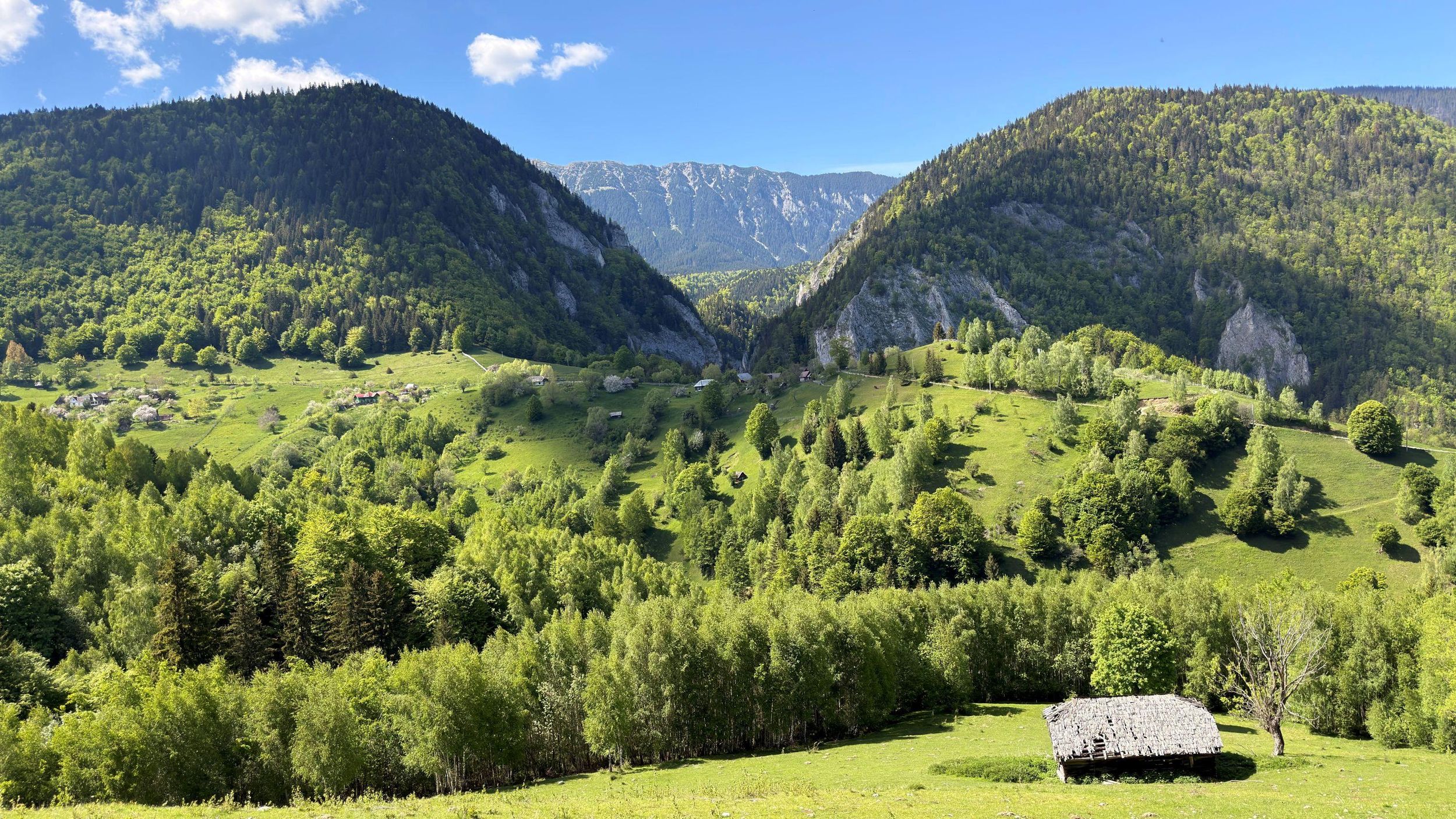 Ab Brașov: Tour zu Bergdörfern mit lokalem Mittagessen