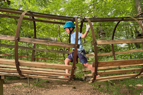 Kelkheim: Outdoor climbing experience in the forest ropes course with circuit and zip lines