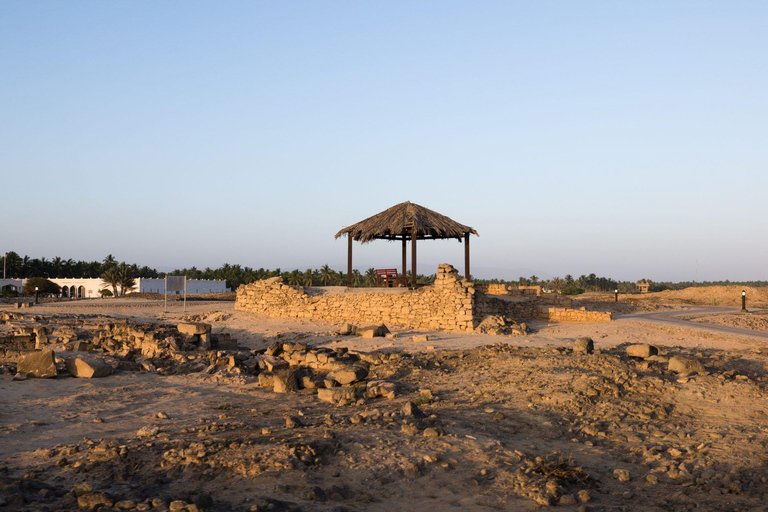 Salalah: Private City Tour — Half or Full Day Half day - Coach (21-45 guests)