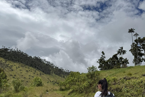 La Carbonera Adventure: Hiking & Horseback Riding in the Andean Palm Forest Salento: Tour to La Carbonera and the wax palm forest
