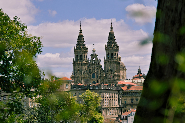 Från Porto: Privat tur till Santiago de Compostela