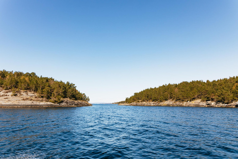 Ze Stavanger: Zwiedzanie Lysefjordu łodzią RIB