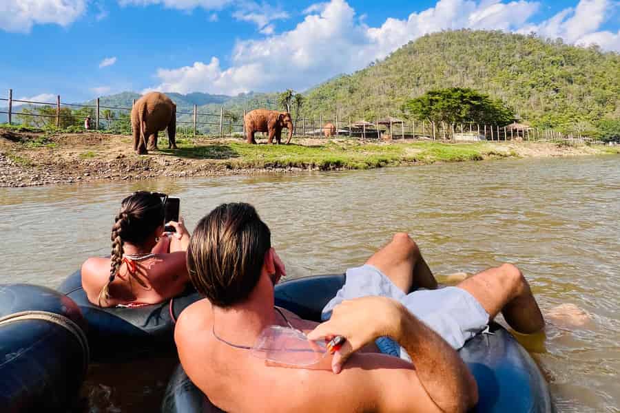 Halbtägiges Abenteuer in Chiang Mai: Tubing & Elefantenfütterung. Foto: GetYourGuide