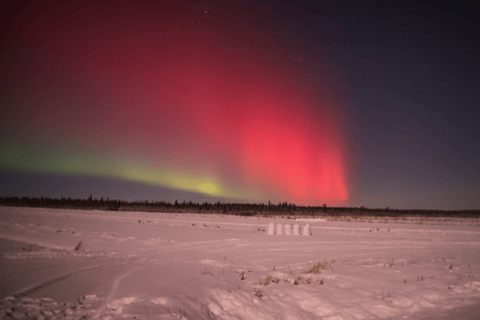 Northern Lights Rovaniemi Guaranteed & Unlimited KM Hunting