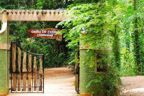 Kandy: Heritage and Architectural tour