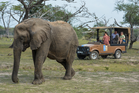 From Zanzibar: Overnight Selous G.R. Safari with Flightsprivate safari