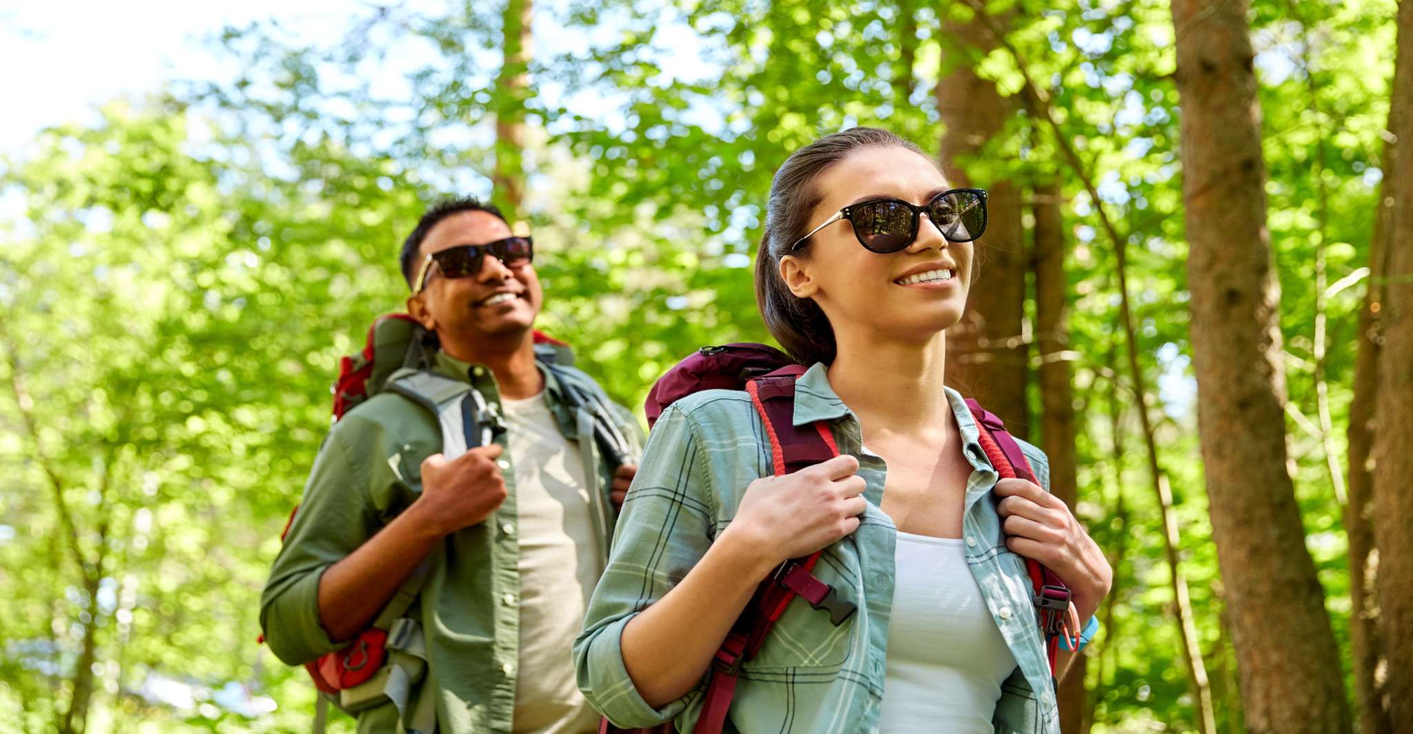 Blue Ridge Parkway (Sur) Tour de conducción con audioguía - Hizvo