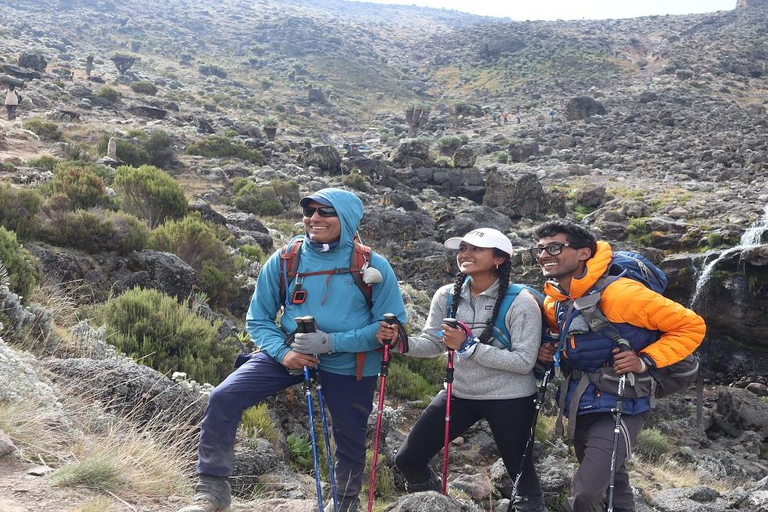 Kilimanjaro: 9 dias para você explorar a melhor rota do circuito norte