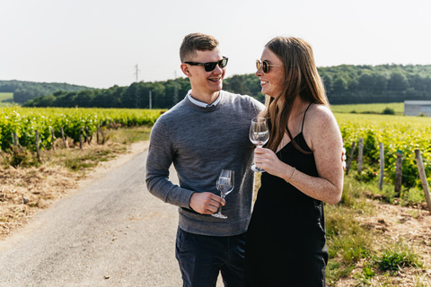 From Paris: Private Sancerre Wine Tour w 10 Tastings & Lunch