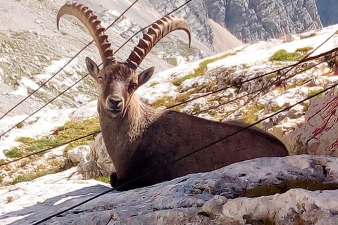 VENICE : Tour of Dolomites Unesco with Drone Video