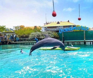 CARTAGENA : 4 îles en bateau sportif + billets pour l'océanarium