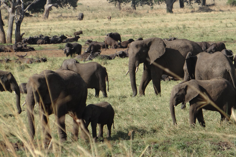 Uganda: 18 Tage Traumurlaub von Ruanda aus