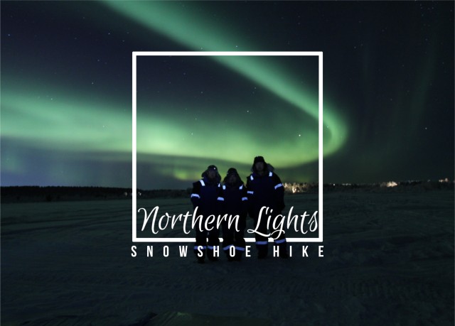 Visit Northern Lights Snowshoe Hike in Jukkasjärvi