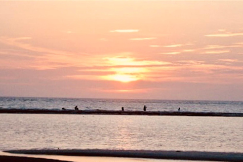 Tarpon Springs: Evening Dolphin Cruise Tarpon Springs: Sunset Dolphin Cruise with Refreshments