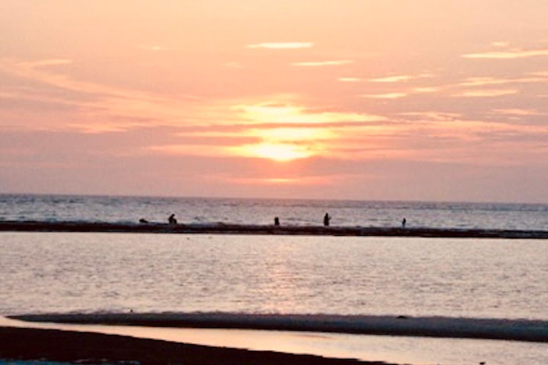 Tarpon Springs: Evening Dolphin Cruise Tarpon Springs: Sunset Dolphin Cruise with Refreshments