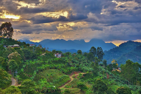 MEDELLIN : VISITE DES JARDINS + ANDES (VUE PANORAMIQUE) + ÉLEVAGE DE TRUITES