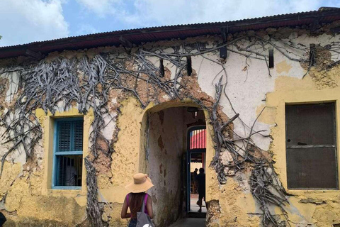 ZANZÍBAR: isla de la Prisión, natación en cuevas y Laguna Azul