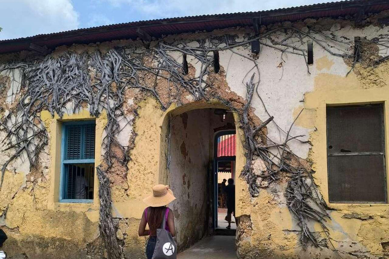 ZANZÍBAR: isla de la Prisión, natación en cuevas y Laguna Azul