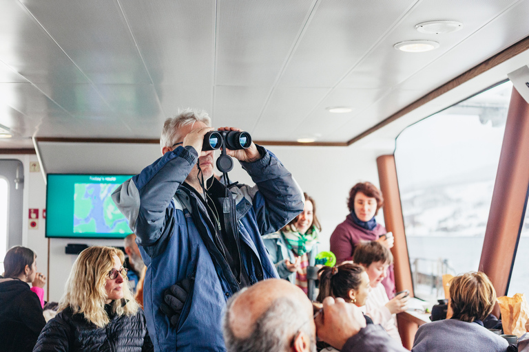 Tromsø: boottocht in fjord met hybride-elektrische catamaranTromsø: boottocht in fjord met elektrische catamaran