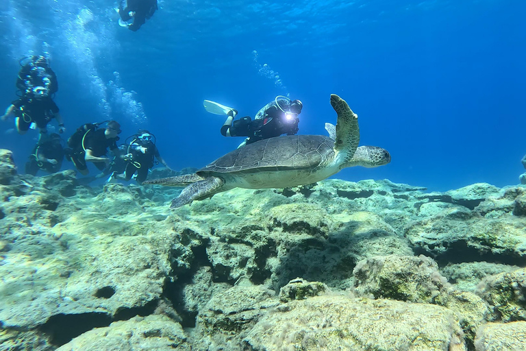 Paralimni, Protaras: Scuba Diving for Beginners! Best place