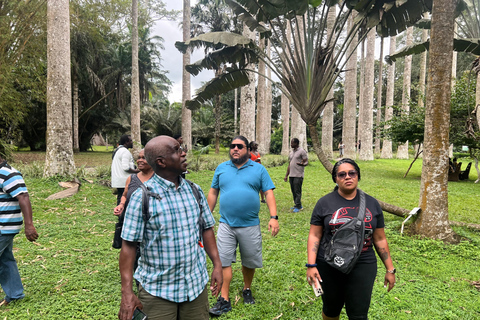 Explore Aburi: Day Trip to Botanical Gardens and Cocoa Farm