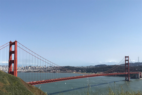 San Francisco: Muir Woods, Pacific Coast & Sausalito Tour
