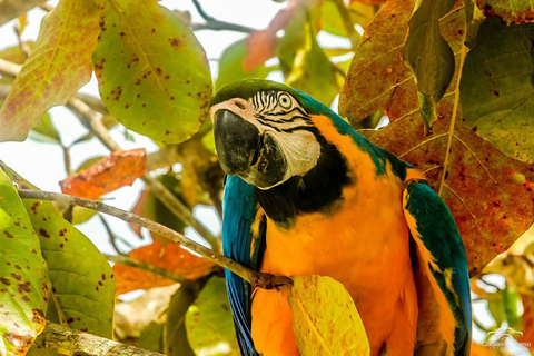 Paraty: 4x4 tour with a visit to a cachaça distillery and optional lunch Paraty: 4x4 Tour with Visit to a Cachaça Distillery and Optional Lunch