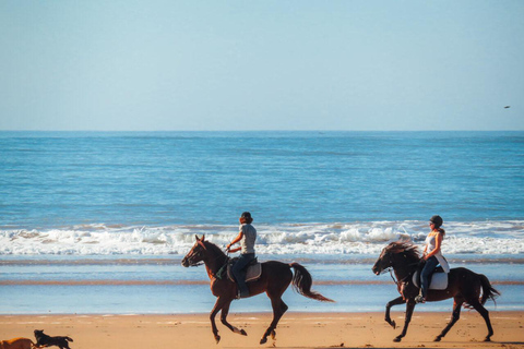 Essaouira Day Trip from Marrakech: Medina & Atlantic Coast Private Essaouira Day Trip