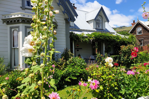 Christchurch: Akaroa & Alpaca Farm Tour with Lunch