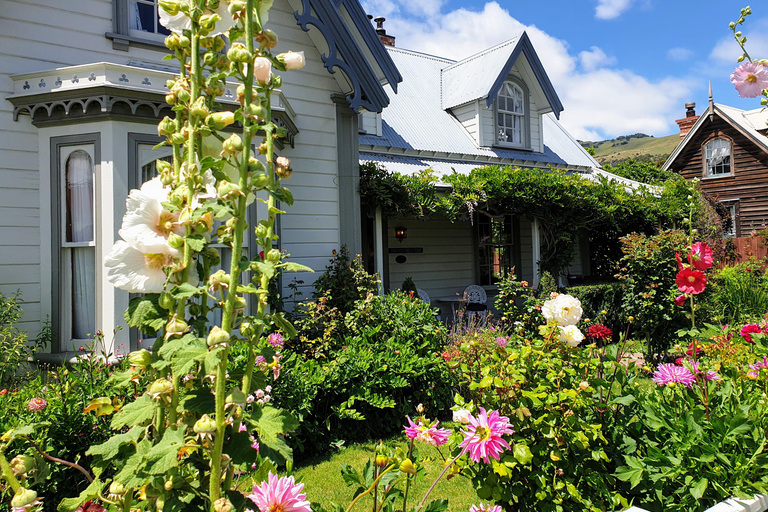 Christchurch: Akaroa & Alpaca Farm Tour with Lunch