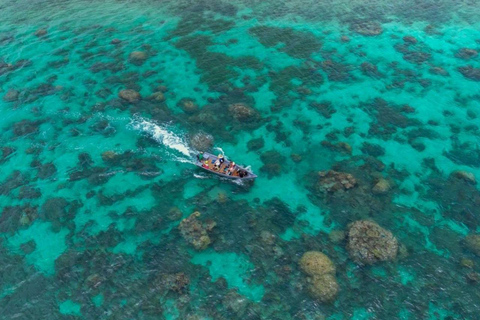 Zanzibar: Chumbe Island coral reef w. Lunch PRIVATE TOUR WITH HOTEL PICK UP & DROP OFF