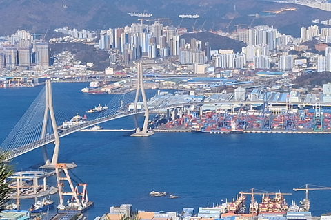 Busan: Easy Coastal Hiking Tour with Scenic Views