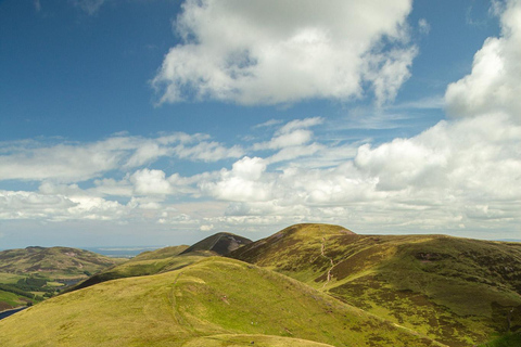 Hills, heather & Highland cows: Hiking in the Pentlands Hills, heather & Highland cows - Hiking in the Pentlands