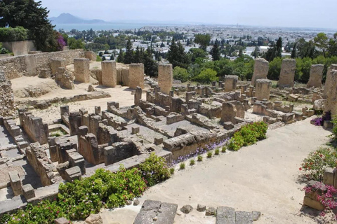 From Tunis/Hammamet: Carthage, Sidi Bou Said, and the Medina Carthage, Sidi Bou Said & Medina (coach and driver only)