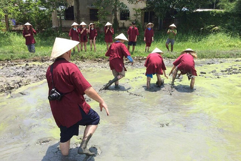 Hoi An Nassreisanbau Tour-Korb Bootstour Fischen-Mittagessen