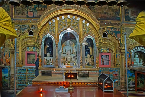 3 Hours Old Delhi Walking Tour Old Delhi Photography Tour with Guide+Tickets+Pick-Up & Drop