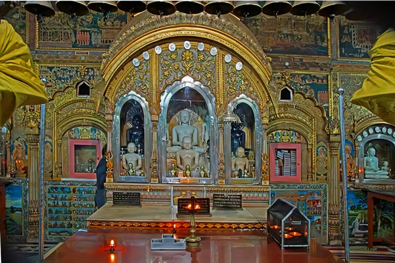 3 Hours Old Delhi Walking Tour Old Delhi Photography Tour with Guide+Tickets+Pick-Up & Drop