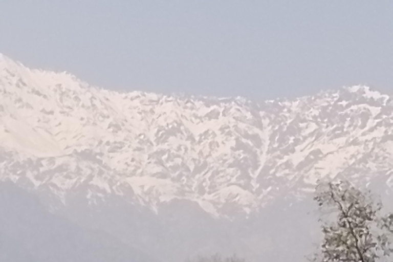 Santiago: Cousiño Macul Vineyard Premium Tasting Tour