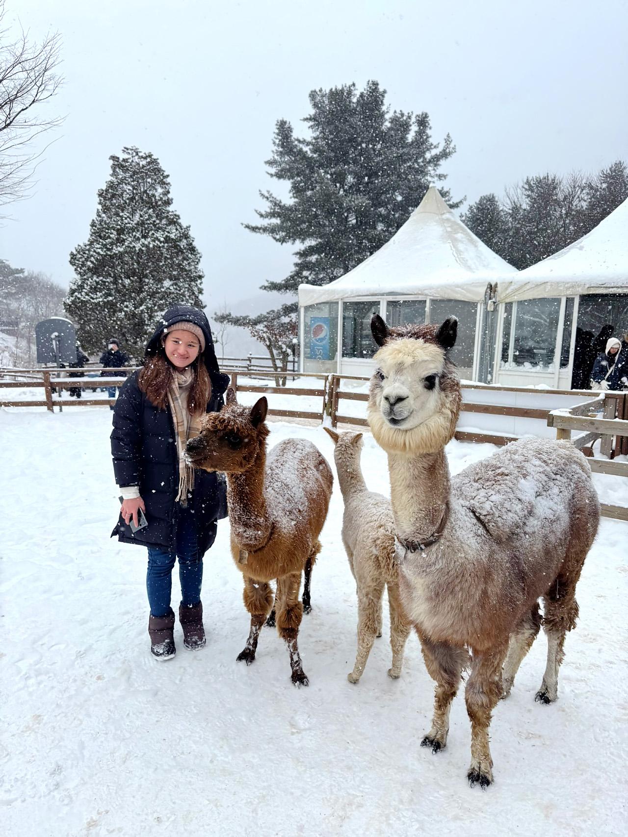 Seoul: Winter Tour at Eobi Ice Valley, Nami Island, and More