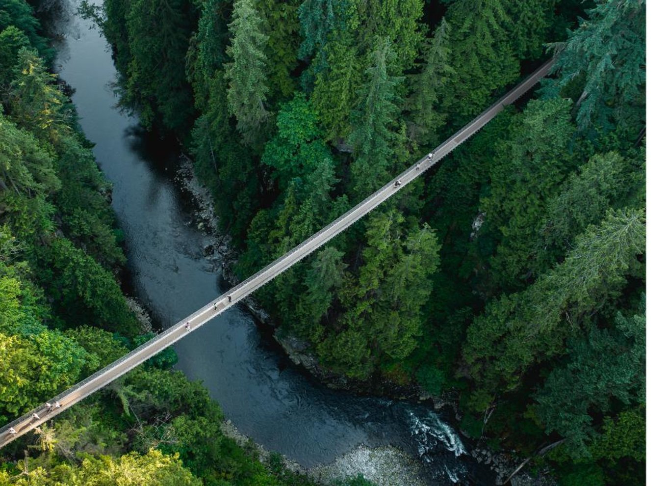 Vancouver: Capilano Suspension Bridge Park billet