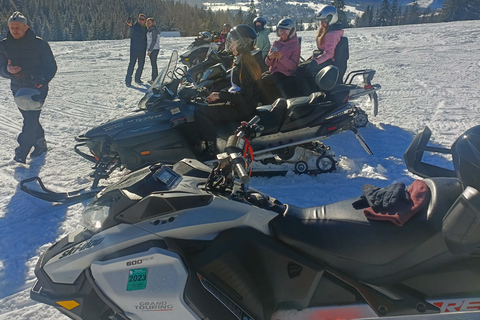 Zakopane: Snowmobile, Quad, or Buggy Tatra Mountains Tour
