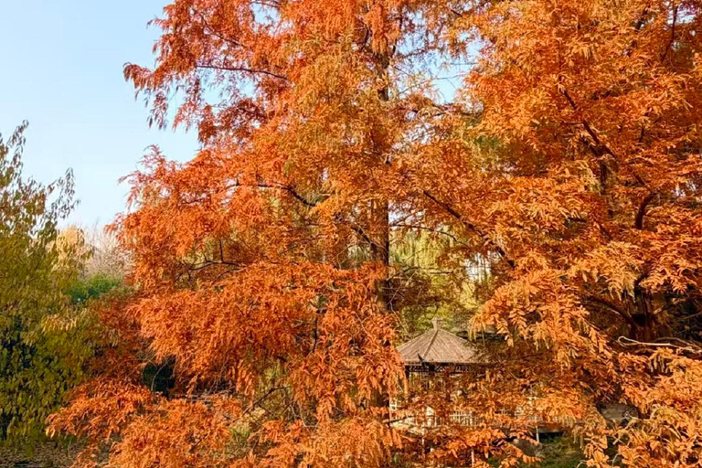 Pekin: botaniczna wycieczka po Parku Purpurowego Bambusa z ExpertGuidesWycieczka botaniczna po Purple Bamboo Park z przewodnikami