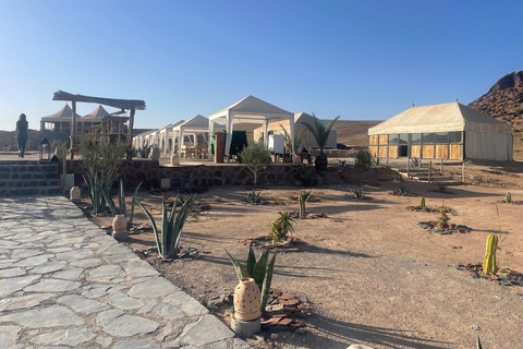 Marrakech: giornata al deserto di Agafay con pranzo e trasferimentoMarrakech: giornata al mare nel deserto di Agafay con pranzo e trasferimento