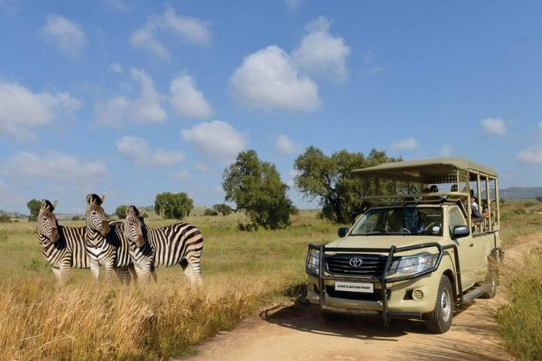 Cradle of Humankind & Rhino and Lion Nature Reserve Safari